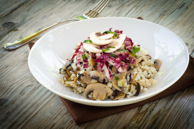 tagAlt.Dried Porcini Mushroom and Radicchio Risotto