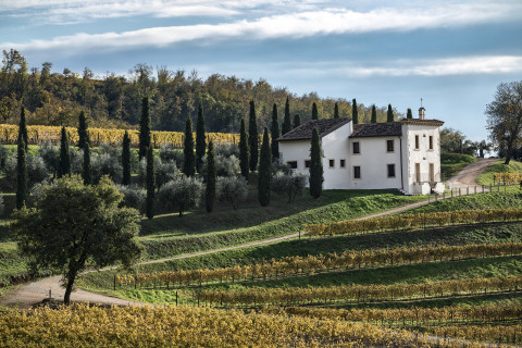 tagAlt.Bertani novare panorama