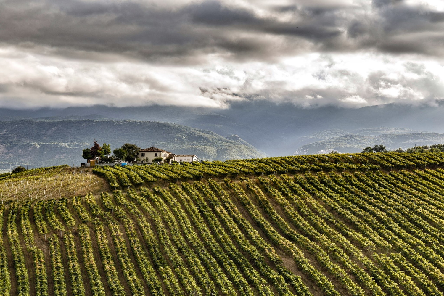Abruzzo Wine Region, Italy: Savor Montepulciano, Trebbiano, Pecorino, and  Cerasuolo Wines, image size:1500x1000