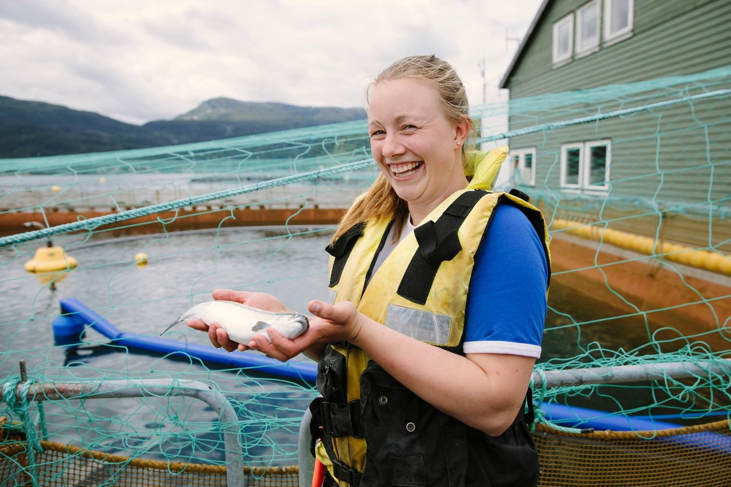 Salmon On the Rise Quite Possibly, the World’s Favorite Fish