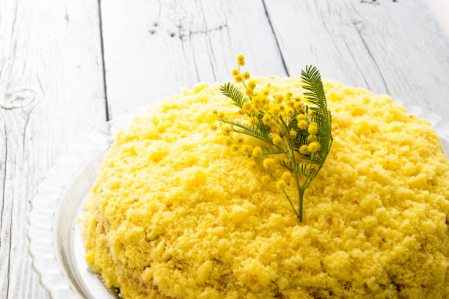 Mimosa Cake Recipe Celebrating Women's Day MaMaBlip