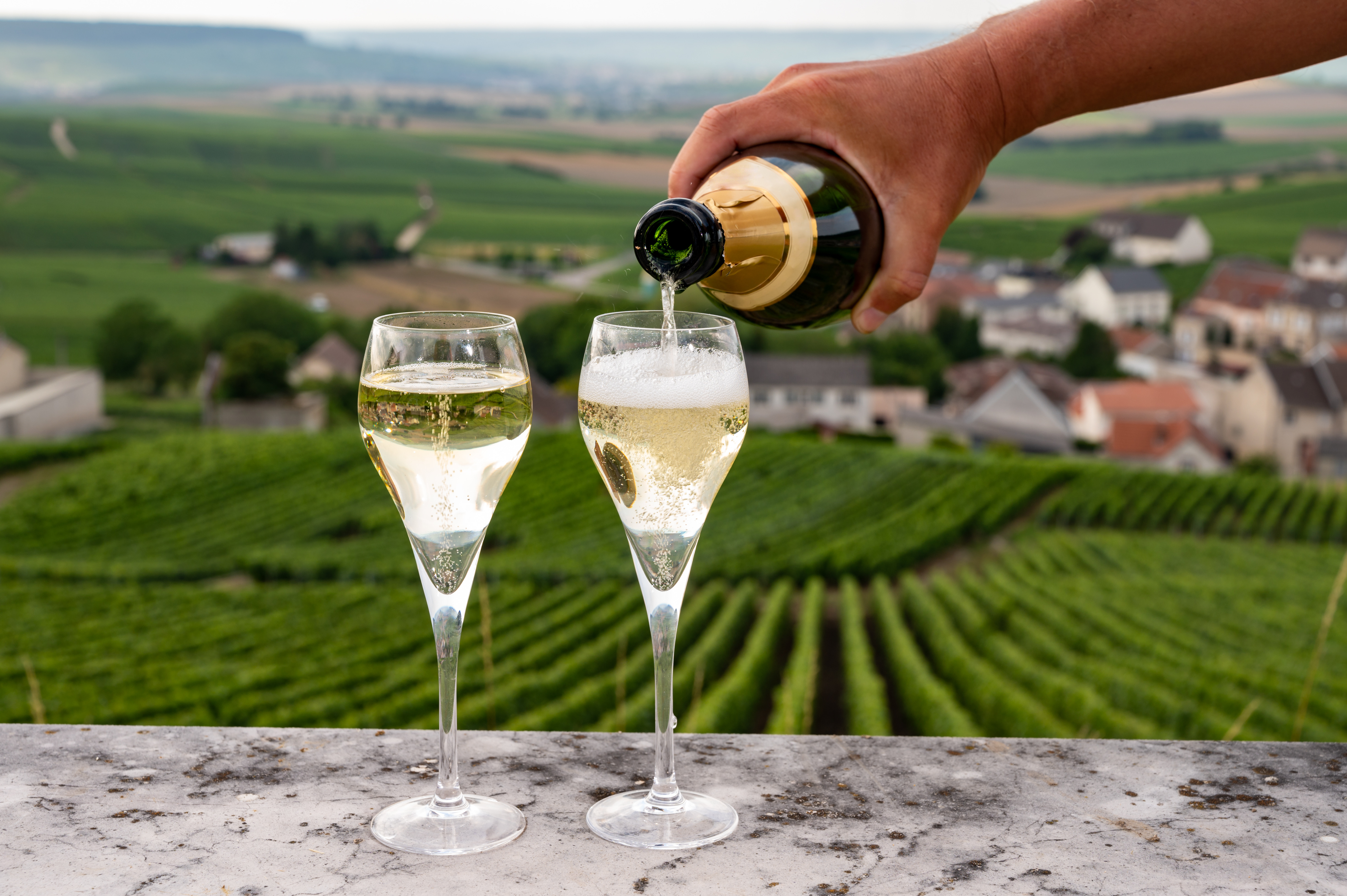 Bottles of French Champagne resting during the traditional aging process in a stone cellar vault